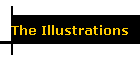 The Illustrations